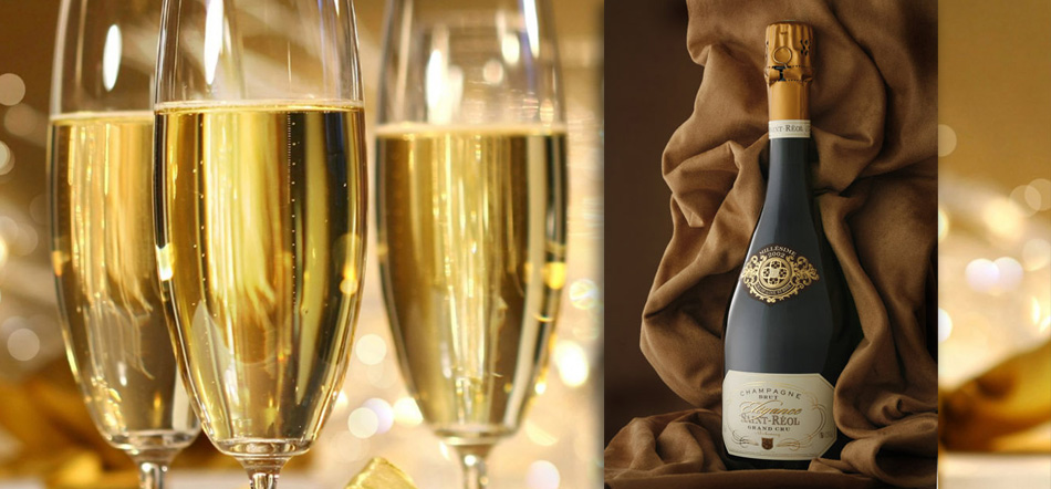 designdivino - Cabinet Conseil en Design Global - Champagne Saint-Réol